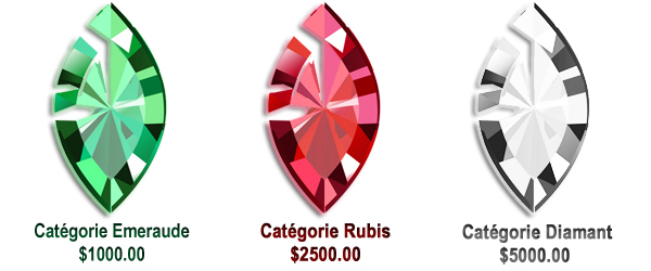 Categorie parrainage FRSL: Emerade, Rubis, Diamant